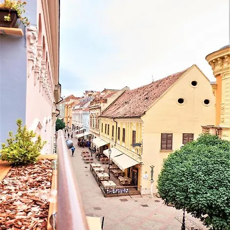 Life Pécs